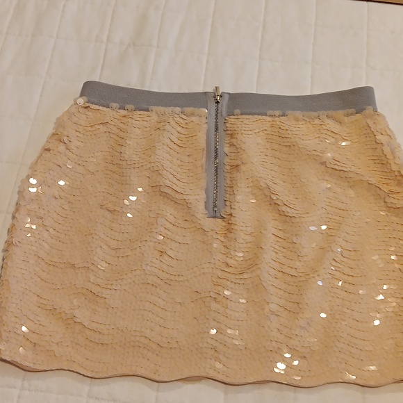 BCBG Max Azria Sequin Skirt - Picture 2 of 3